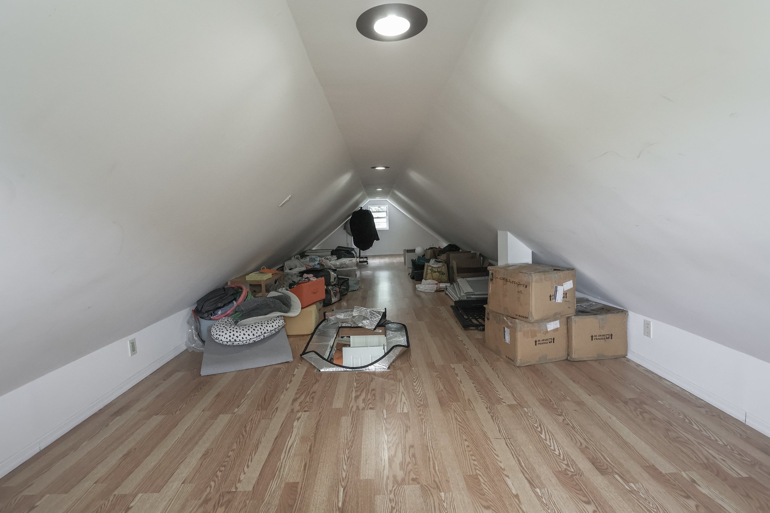 Photo Sep 29 2025, 10 57 18 AM-min.jpg