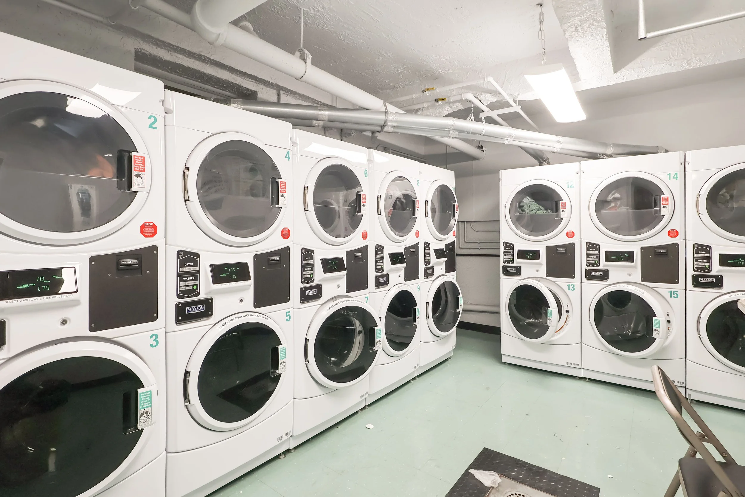 Photo May 02 2025, 12 55 49 PM.jpg