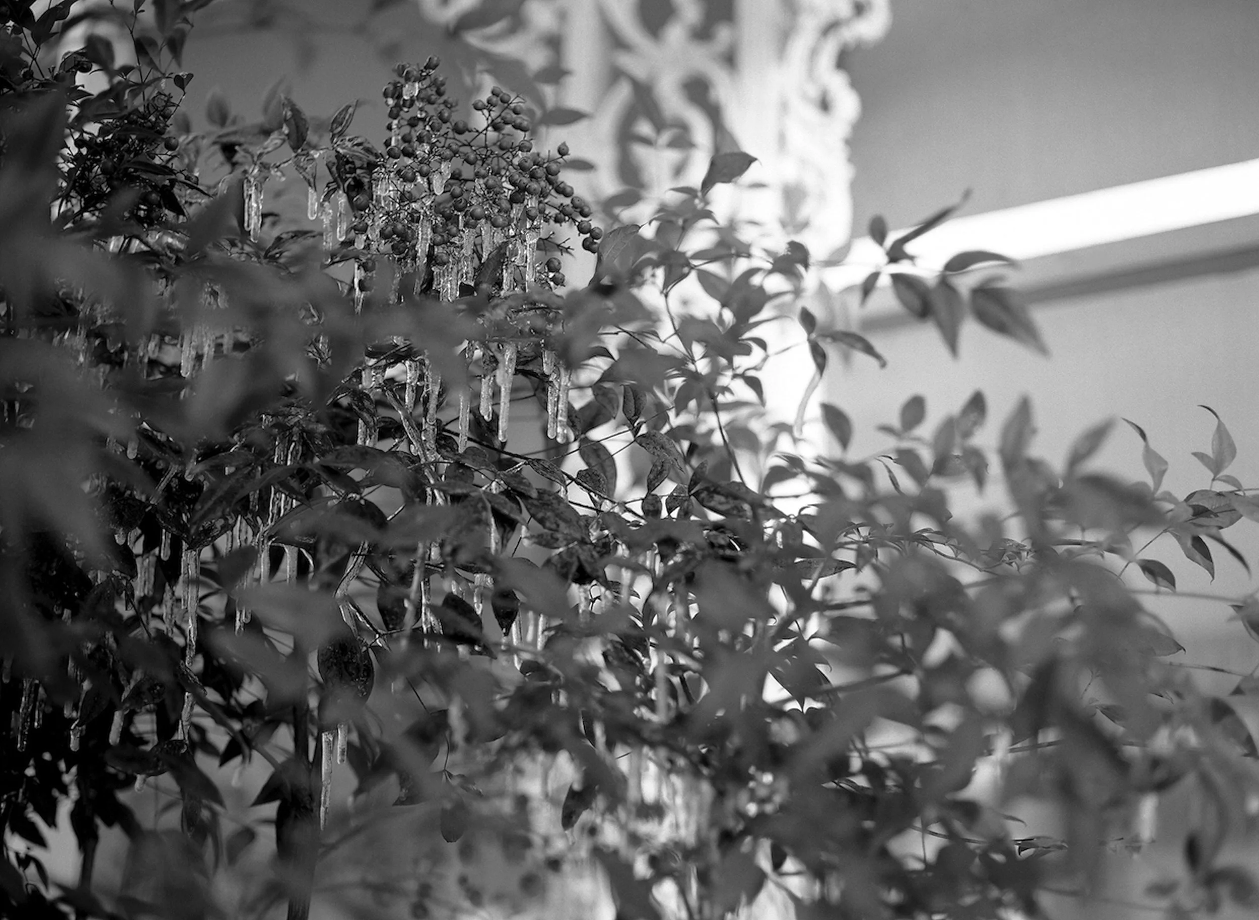 WINTER GROUP EXHIBITION