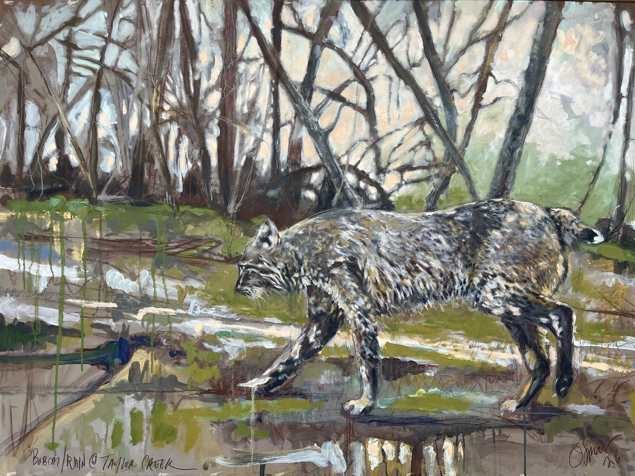 Bobcat/Rain @ Taylor Creek, oil on panel, 36 x 48 inches