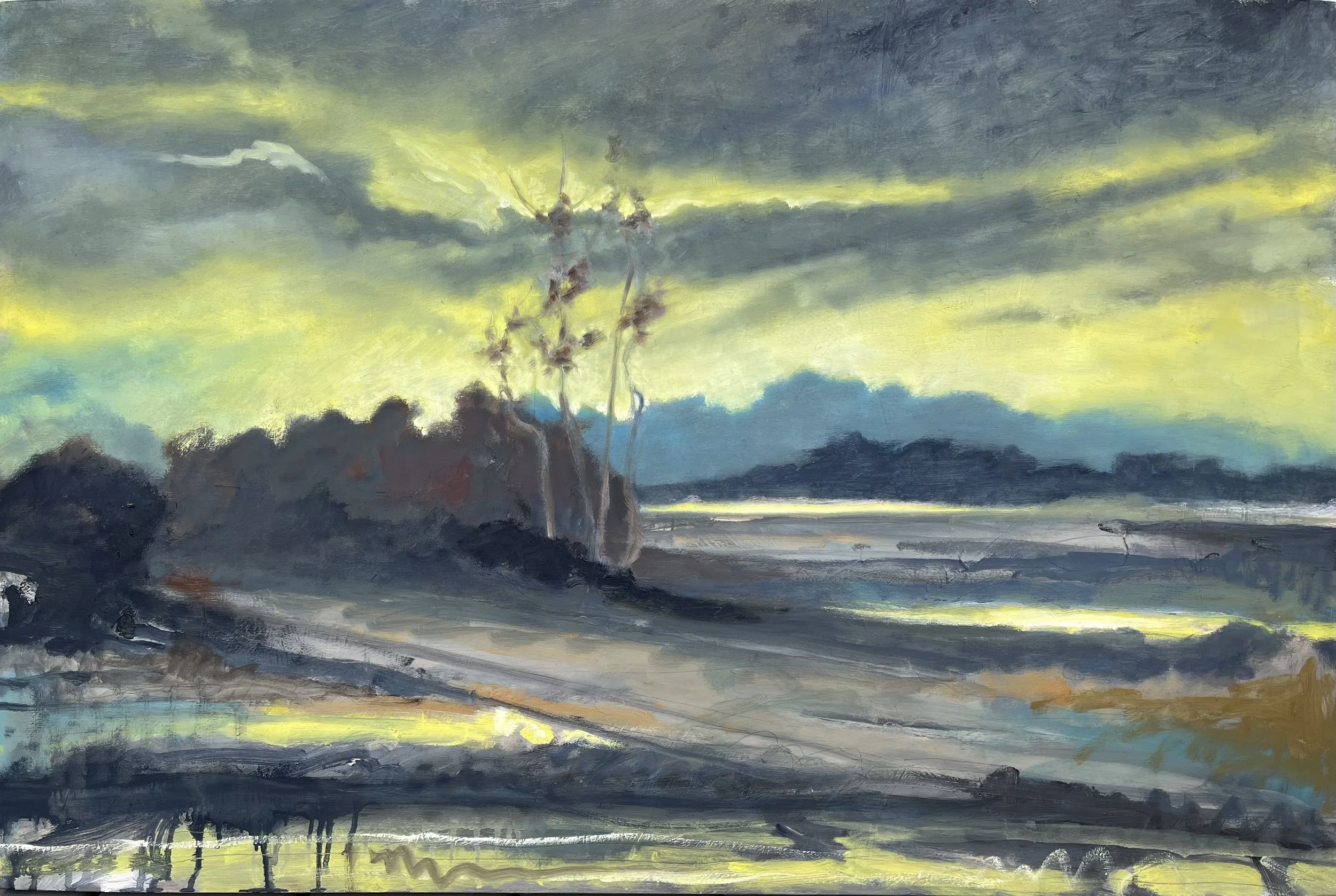 Cooper Pond, oil on panel, 24 x 36 inches