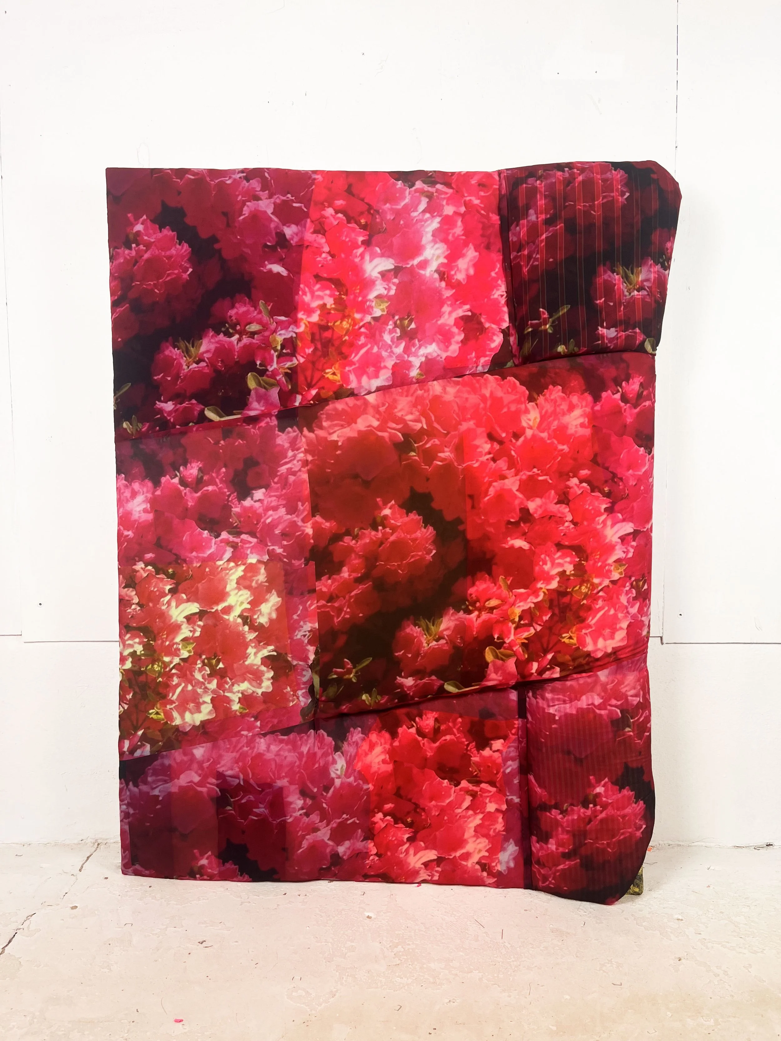 Azaleas, 50" x 38"
