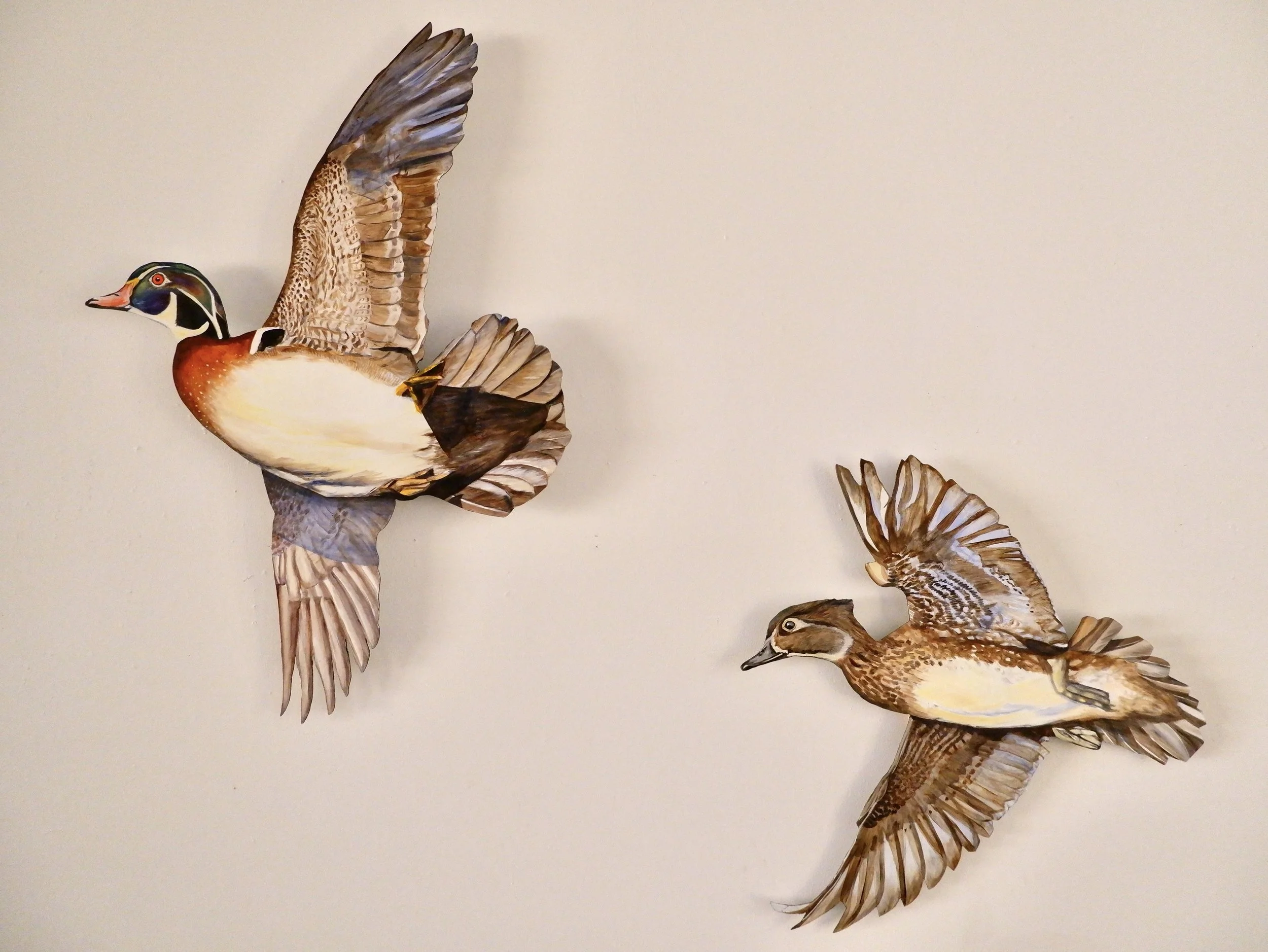 Wood Duck Pair - Victoria Daily Liebert