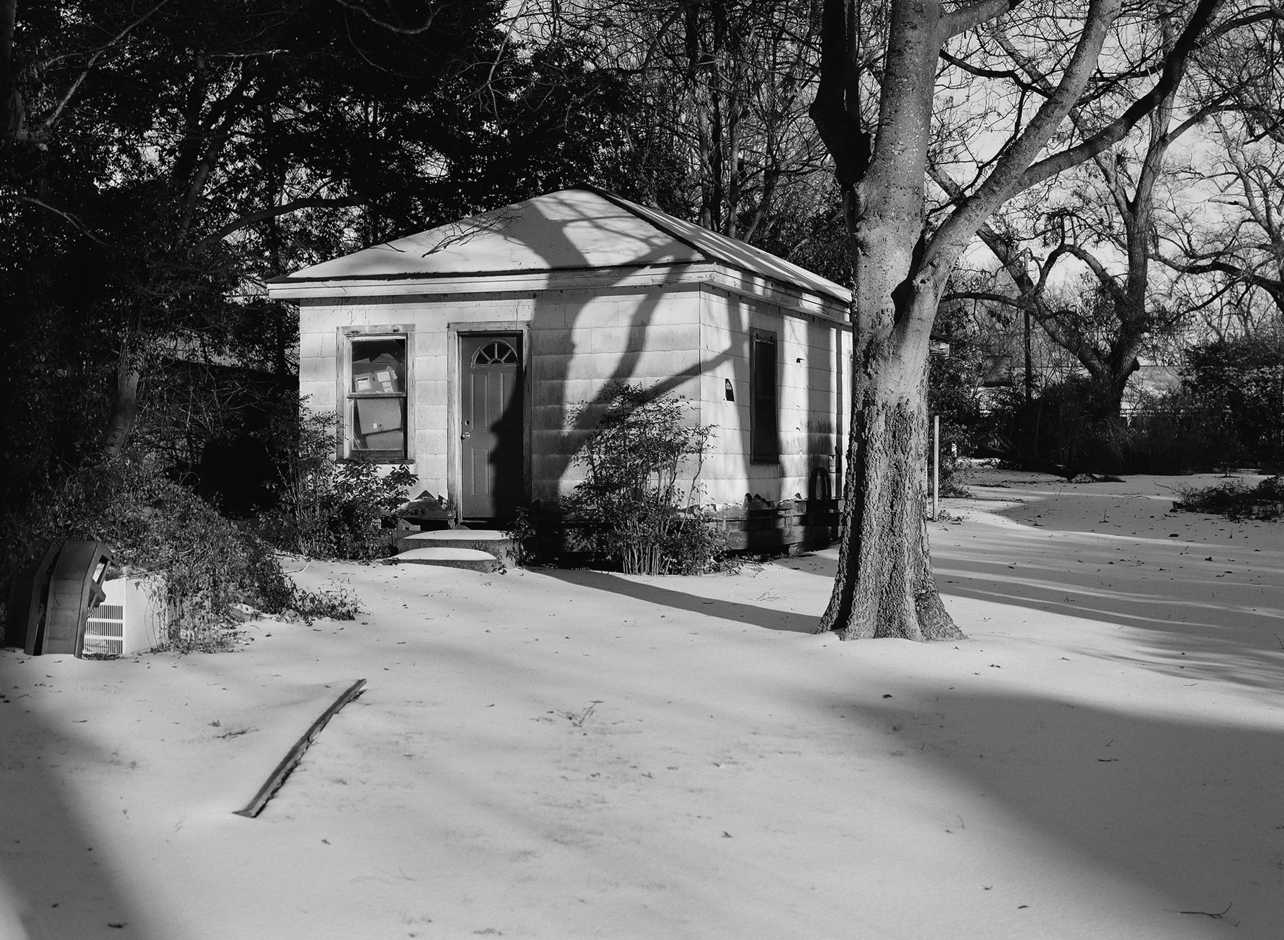 Back Forty, Sumner, Mississippi - Ashley Gates