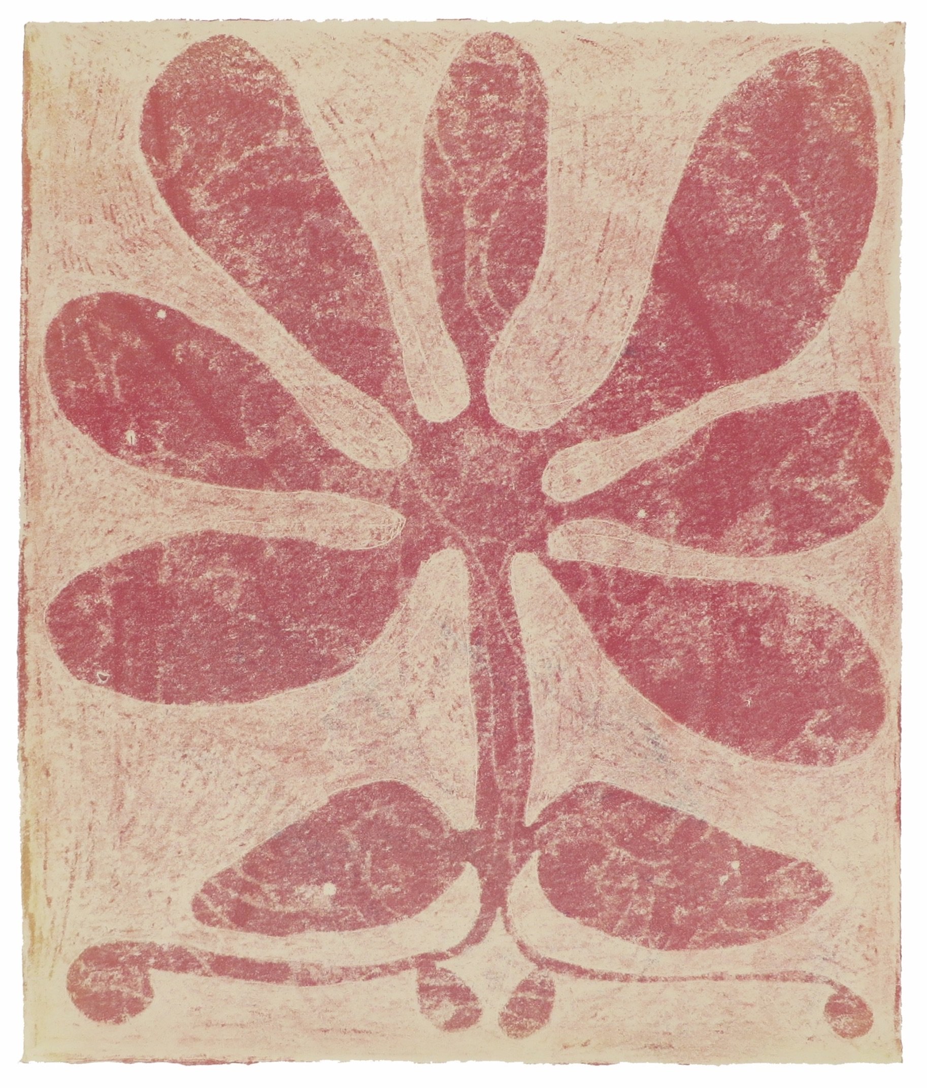 Bloom in Early March (20 x 17 inches), Claire Downes Whitehurst