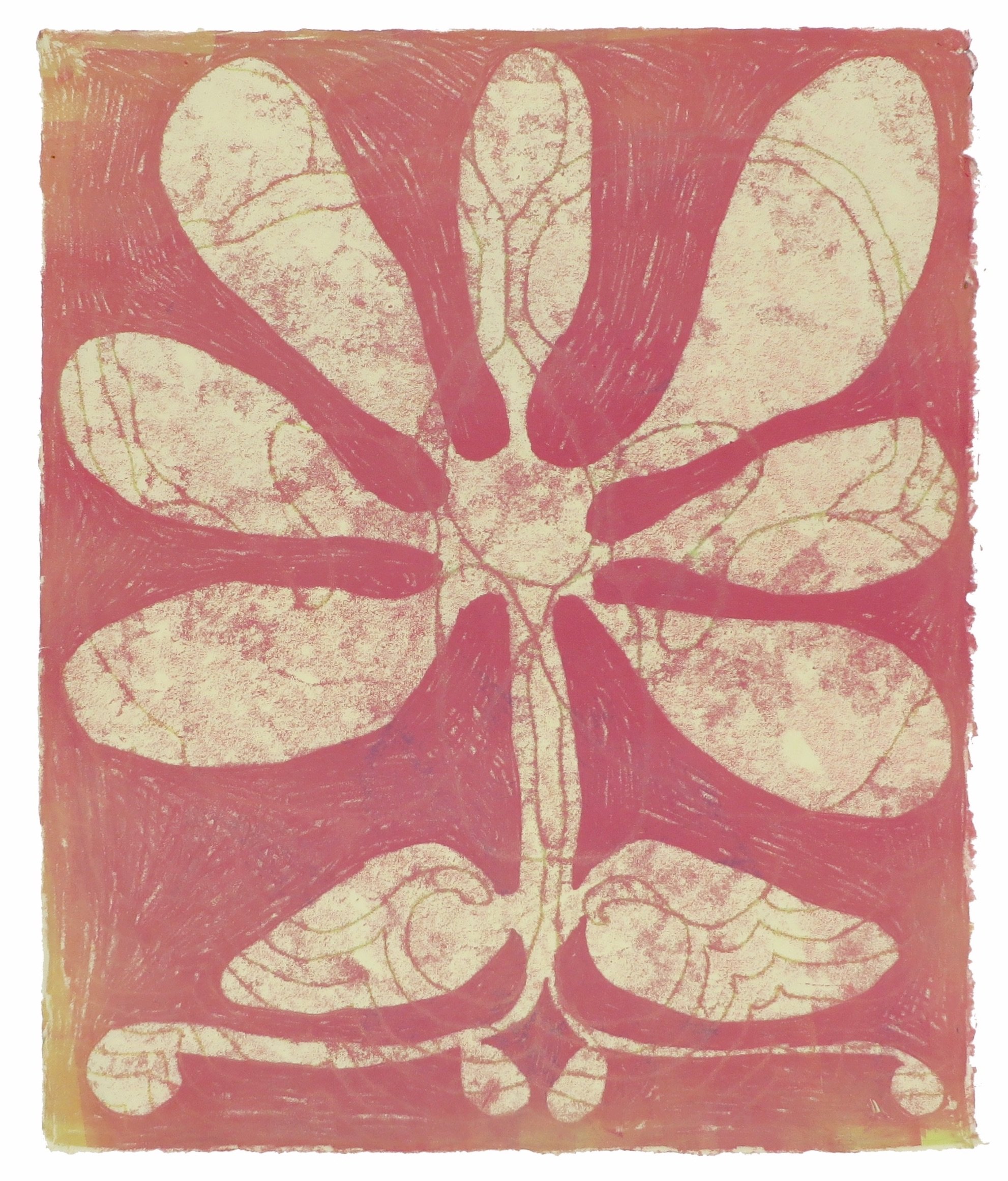 Burst in Mid July (20 x 17 inches), Claire Downes Whitehurst