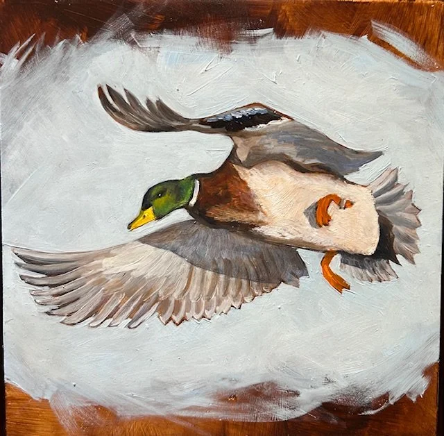 Mallard - Victoria Daily Liebert