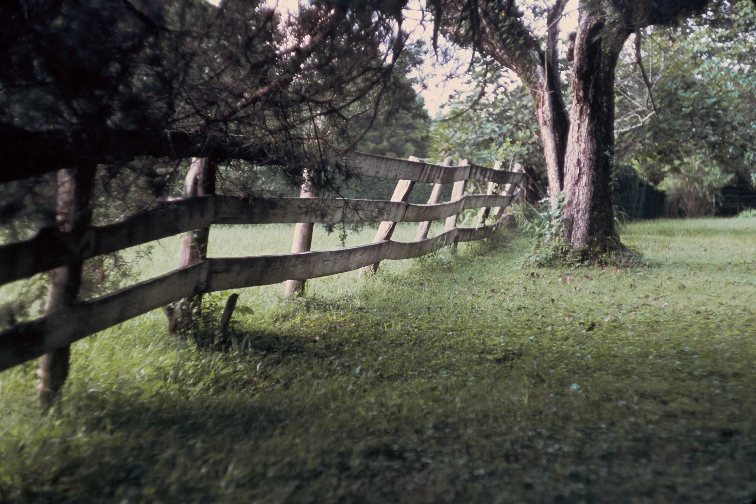 73-12: Fence by the West Lawn, March 1973