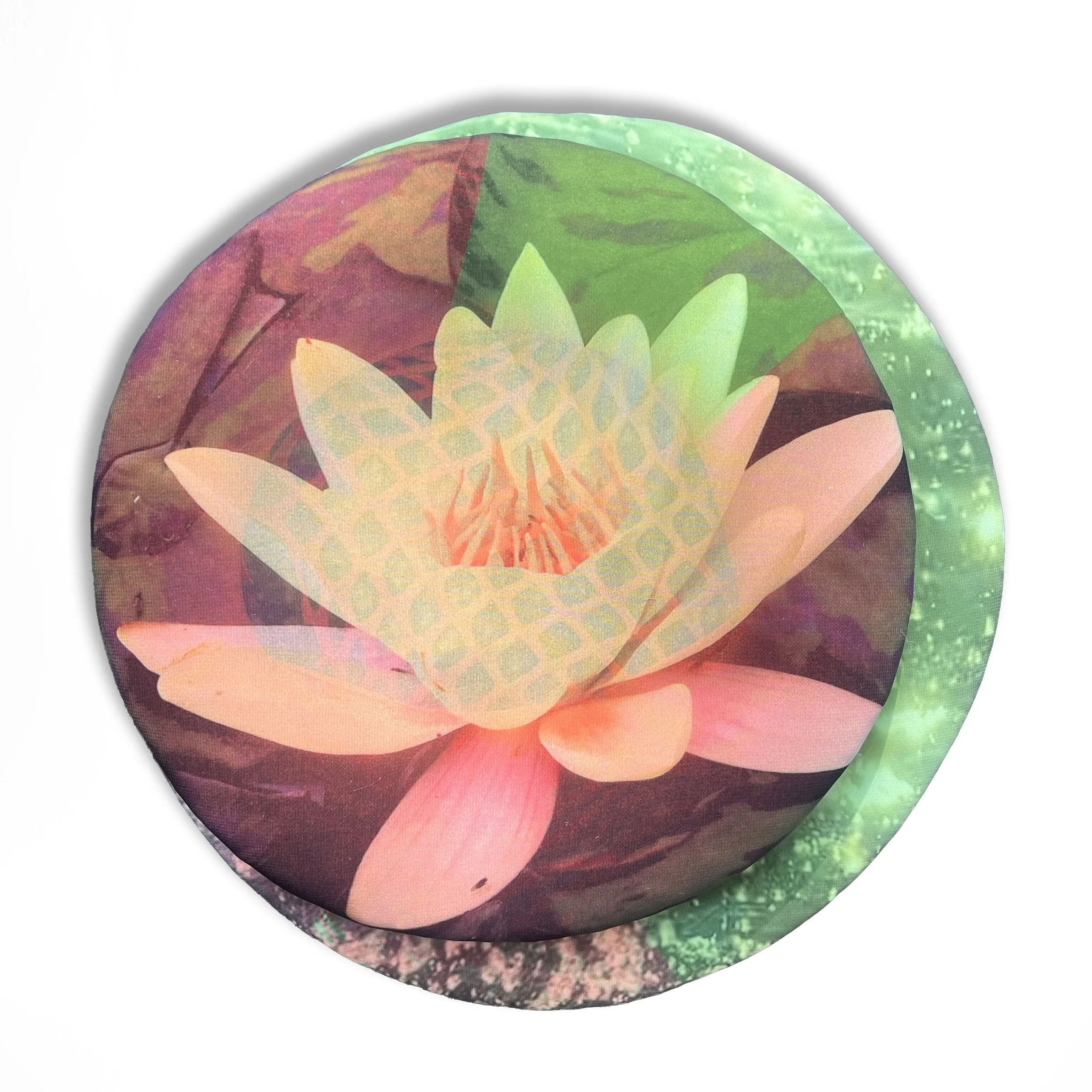 Water Lily 2, 12" Ø
