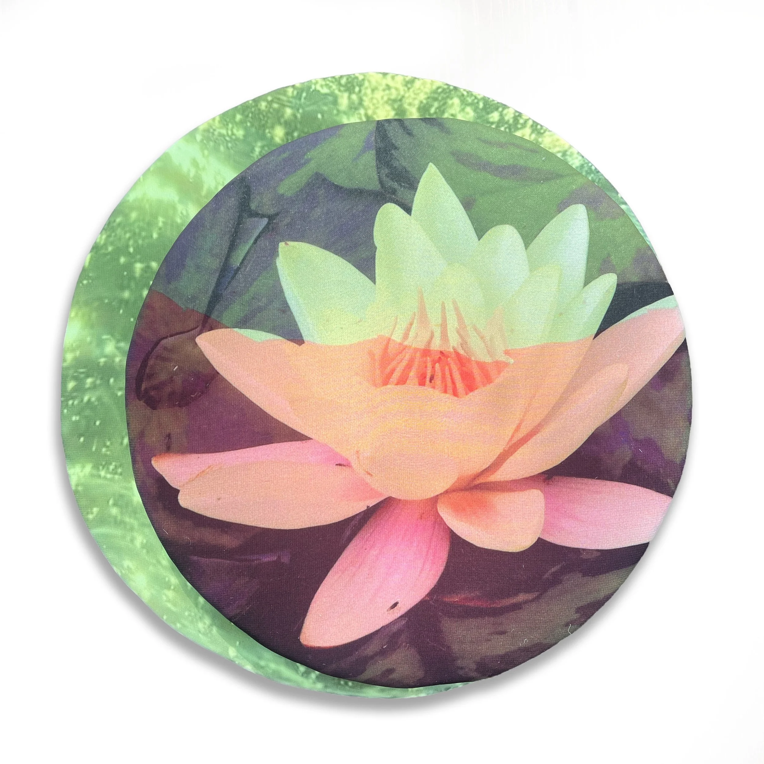 Water Lily 1, 12" Ø