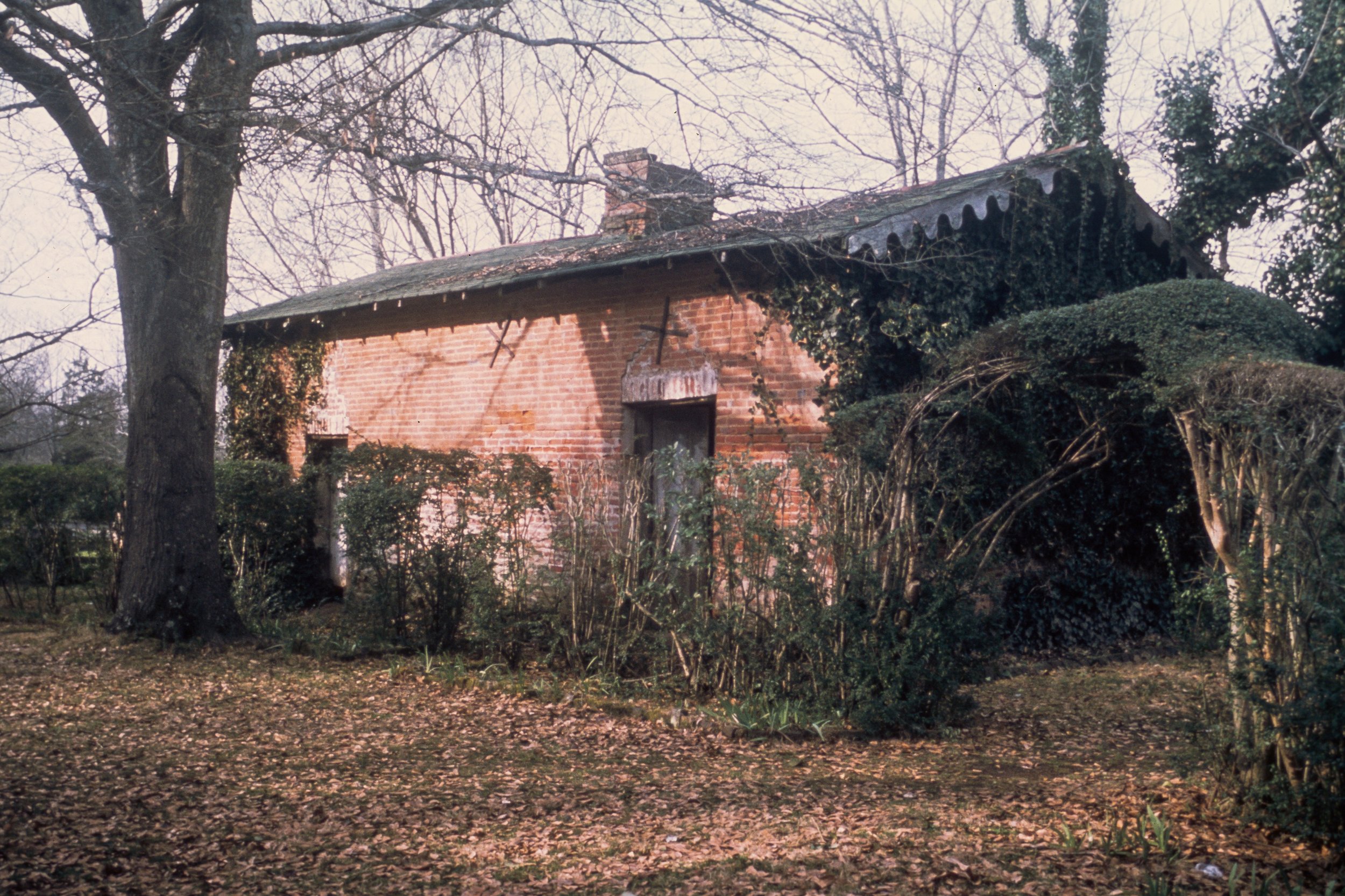73-9: Slave Dwelling-Detached Kitchen, North Lawn, March 1973