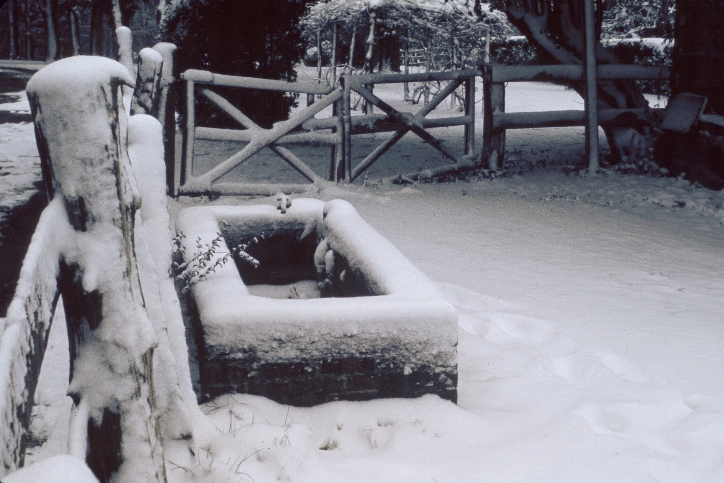 73-10: Trough at Post Oak Barn in Snow, March 1973