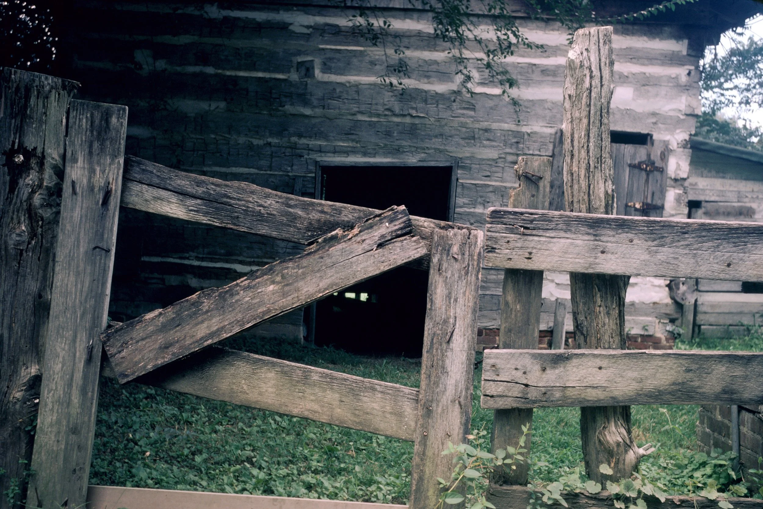 75-3: Post Oak Barn Fence, August 1975