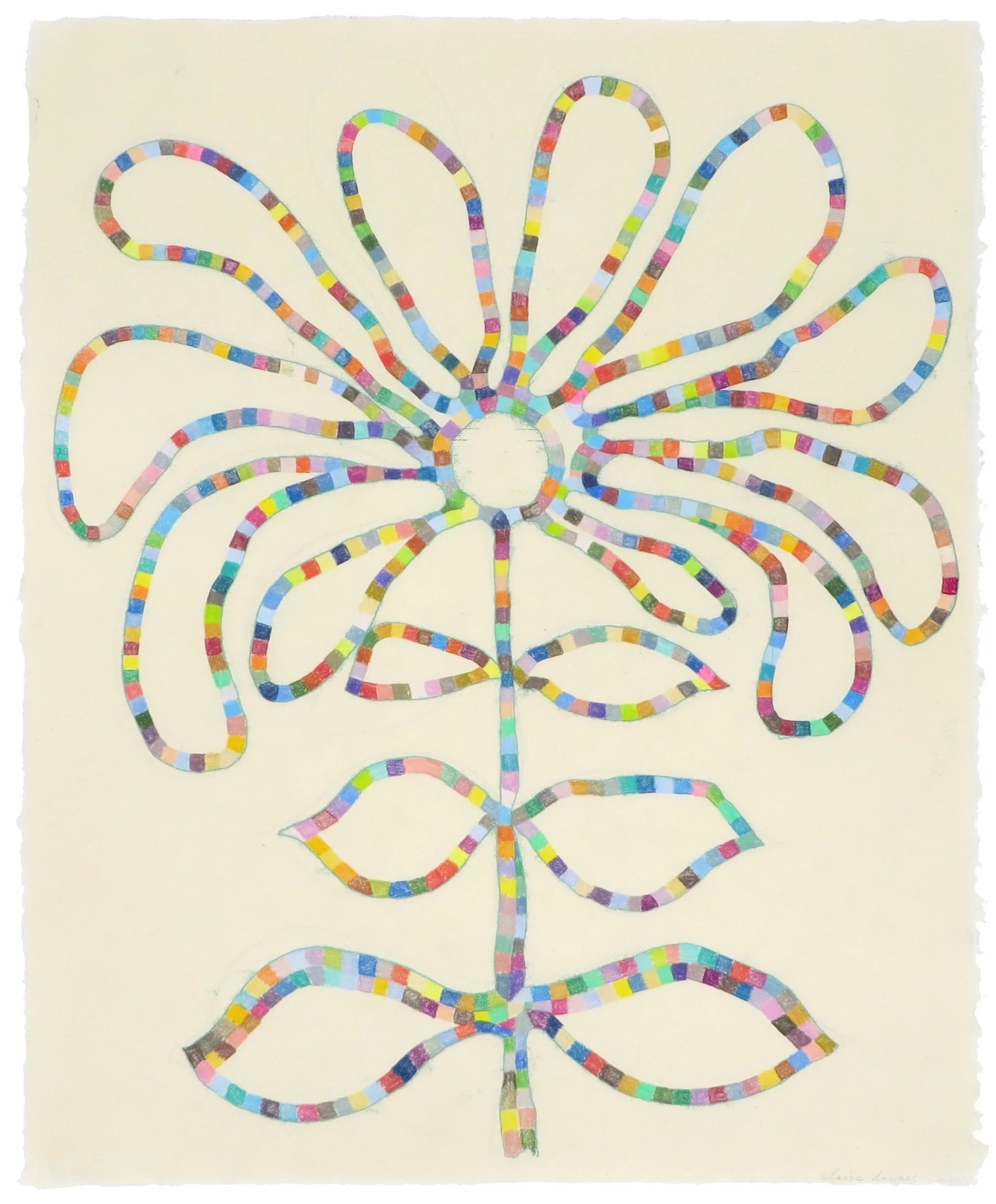 Flower Skeleton (20 x 17 inches), Claire Downes Whitehurst