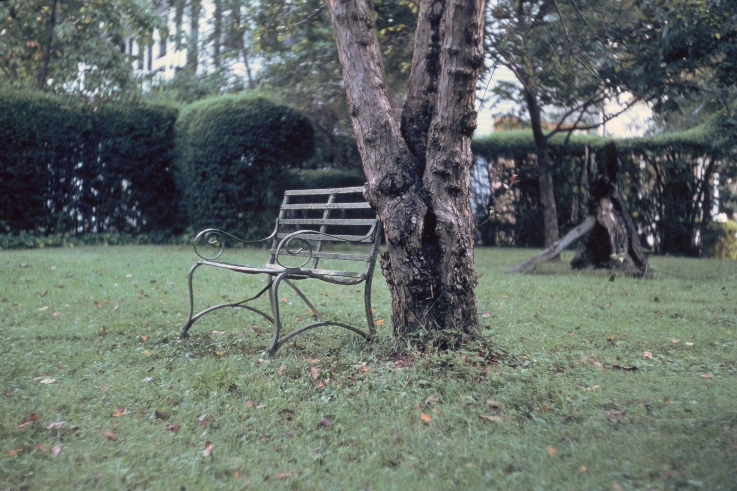 73-1: A Place to Rest, Rowan Oak, March 1973