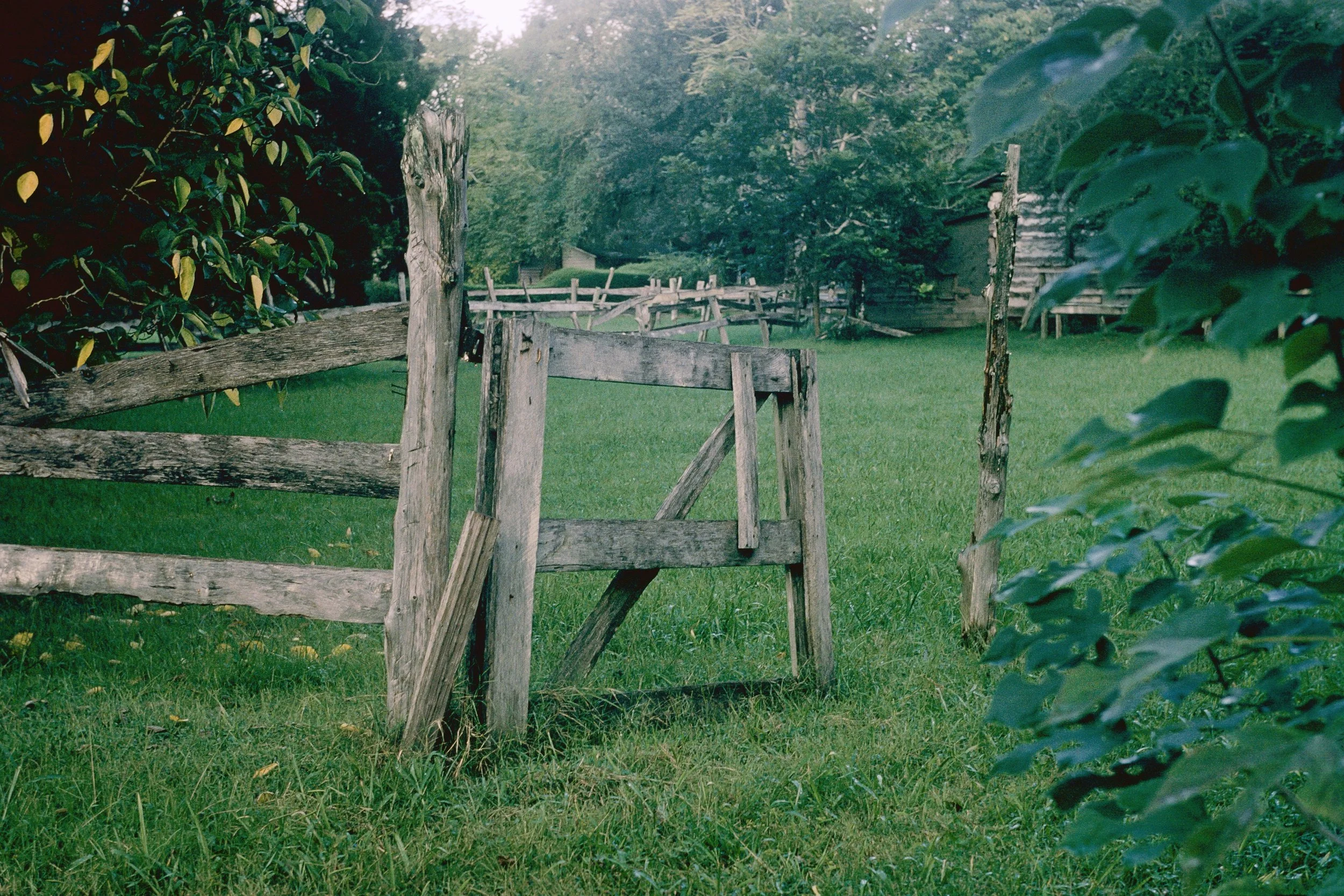 74-8: Post Oak Barn Fence, September 1974