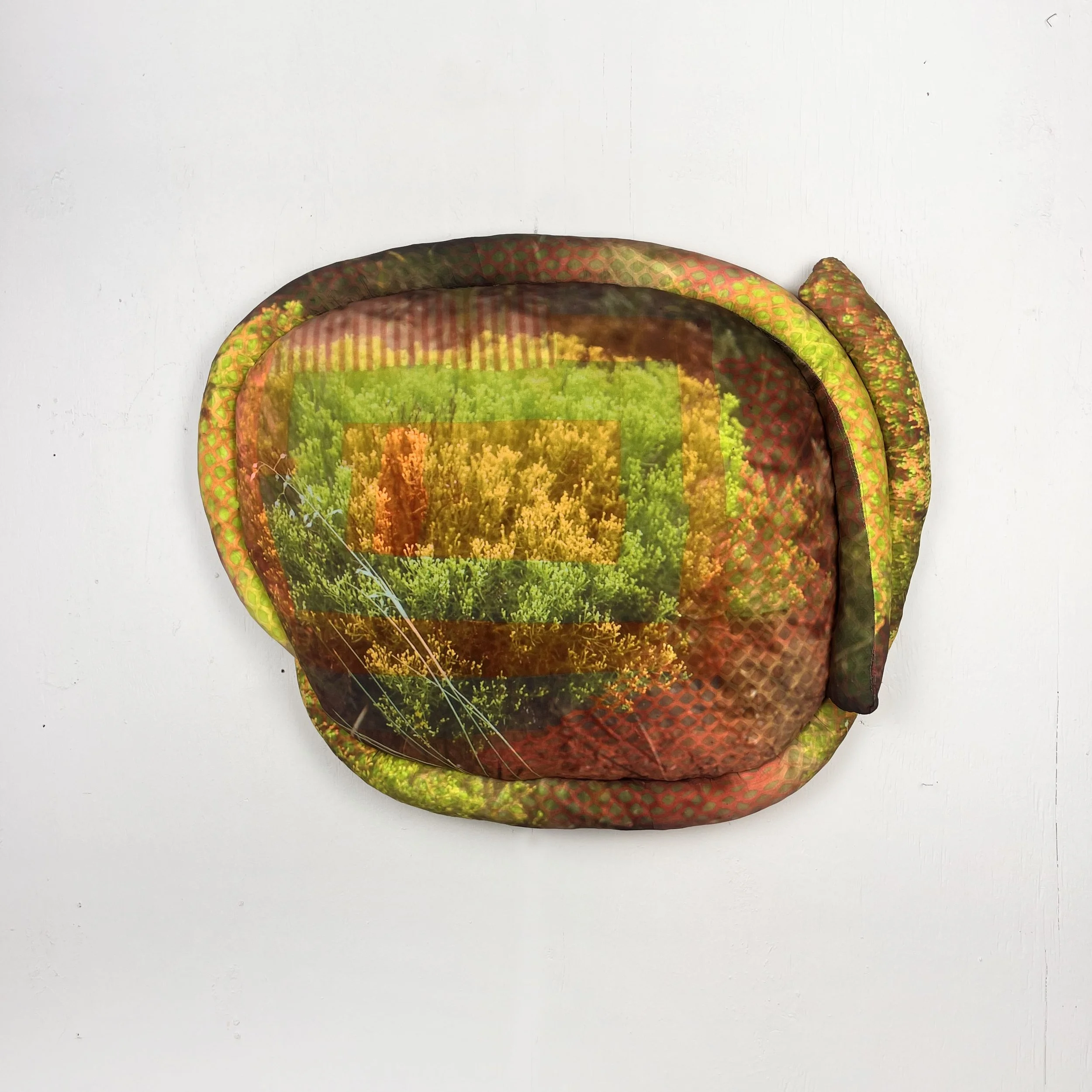 Broom Snakeweed, 19" x 24"