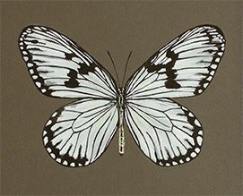 https://i.etsystatic.com/7013601/r/il/ef37a7/2291919738/il_fullxfull.2291919738_ac4o.jpg