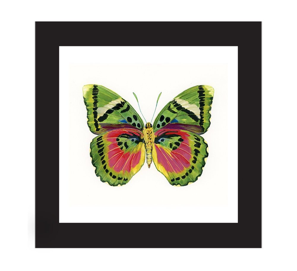 https://i.etsystatic.com/7013601/r/il/747fff/2435370456/il_fullxfull.2435370456_nu6d.jpg