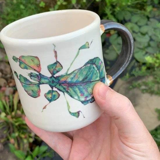 Leaf_insect_mug.jpg