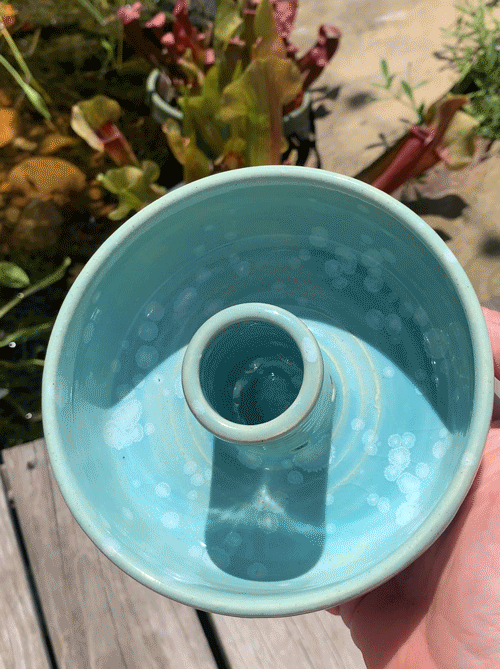 BogPlanter1.gif