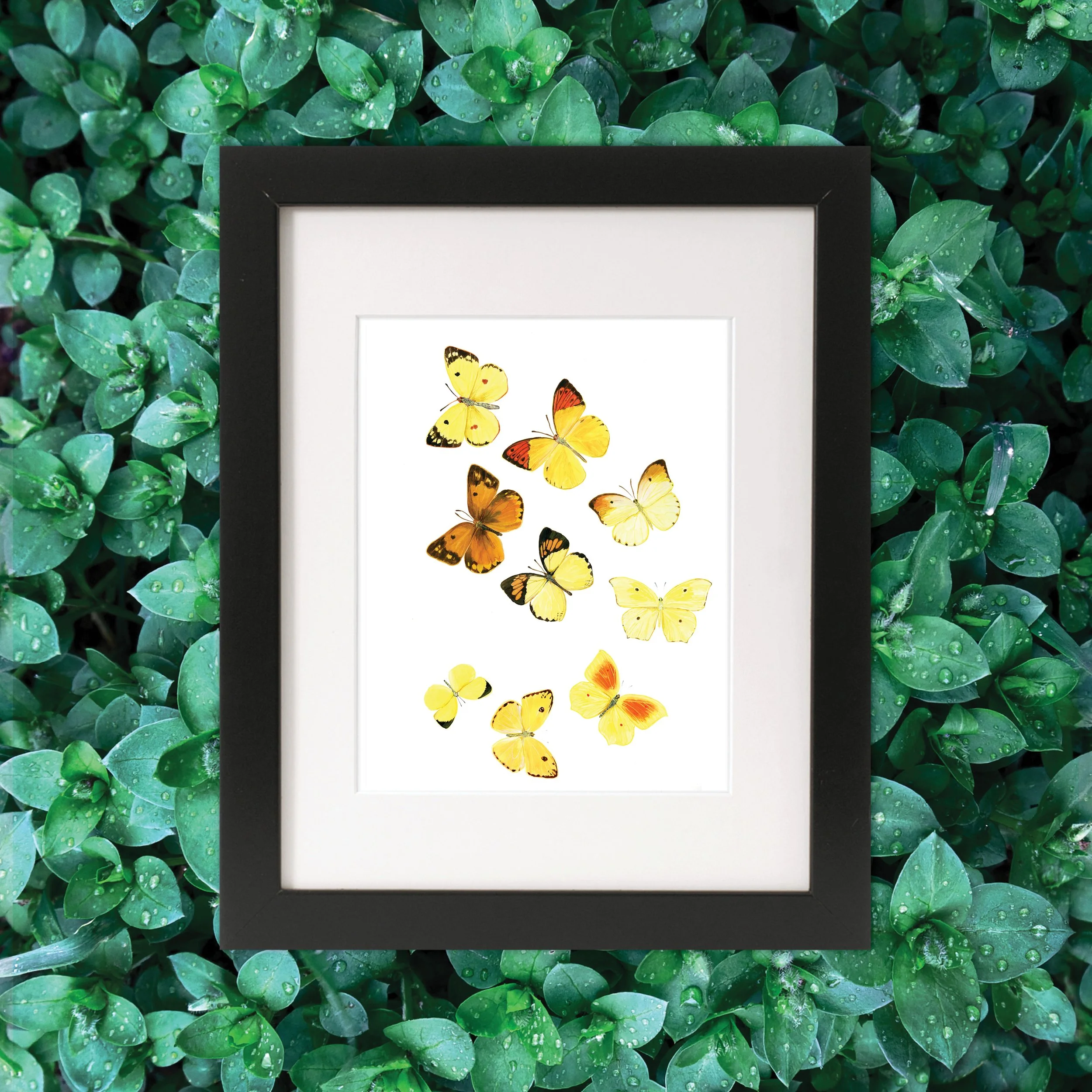 fibonacci_butterflies_greeen.jpg