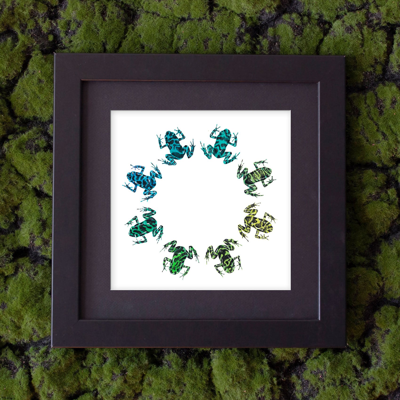 Frogwheel_moss_web.jpg