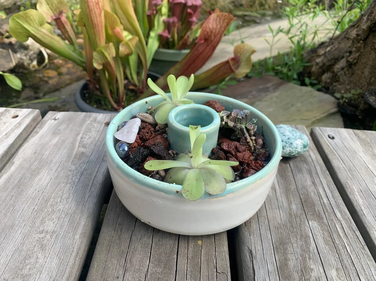 Bog Garden Planter, Pot for Carnivorous plants