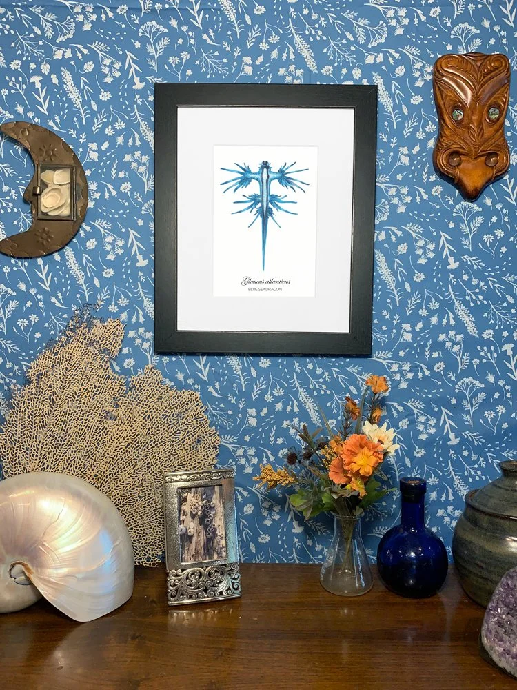 BlueSeaDragon_framed.jpg