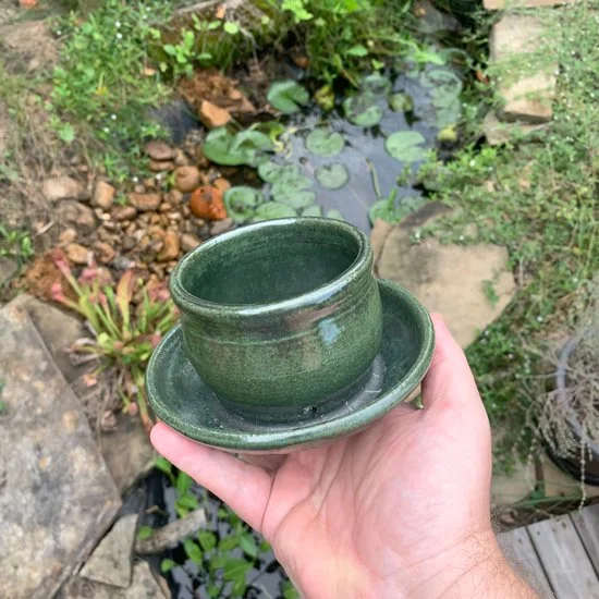 Ping_planter_bowl_garden2.jpg