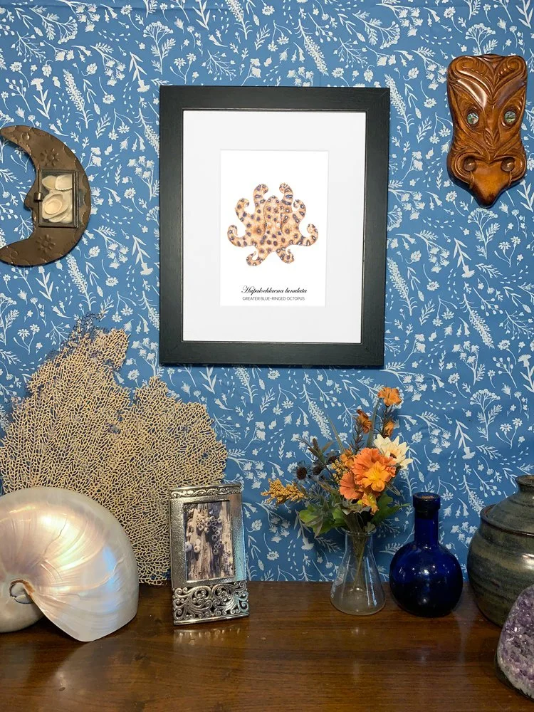 BlueRingedOctopus_framed.jpg