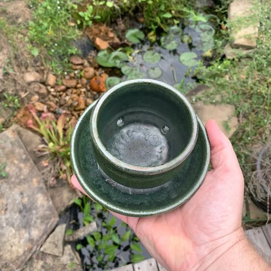 Ping_planter_bowl_garden.jpg