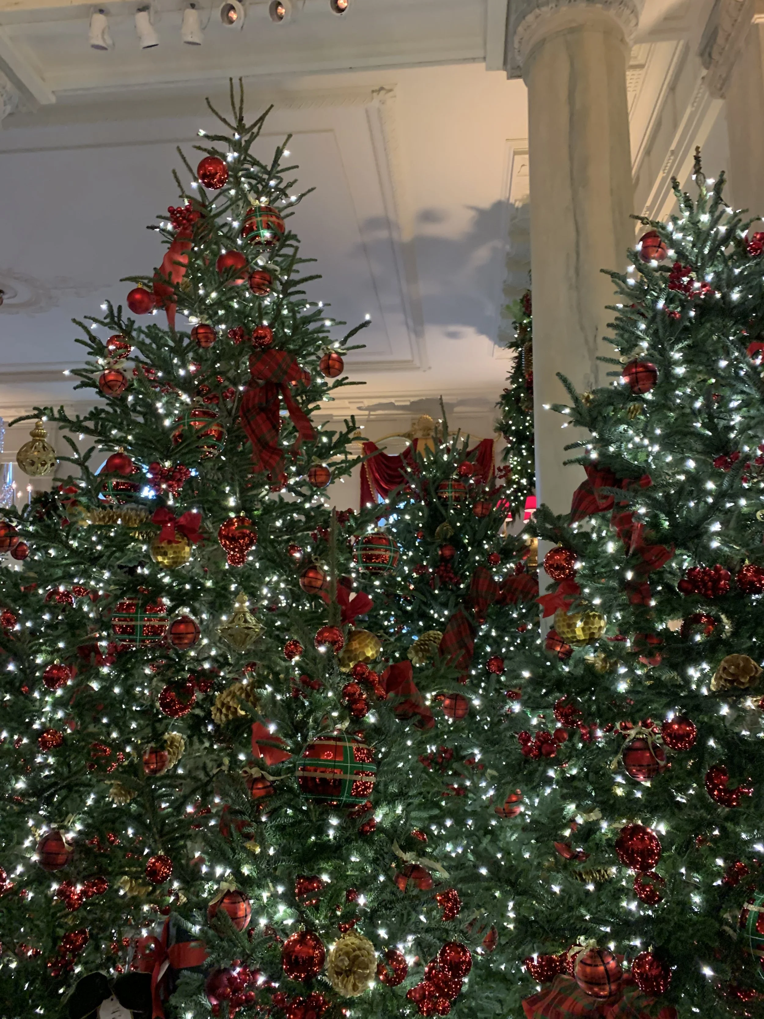 Christmas trees with red and gold ornaments and white lights in an elegant indoor setting.