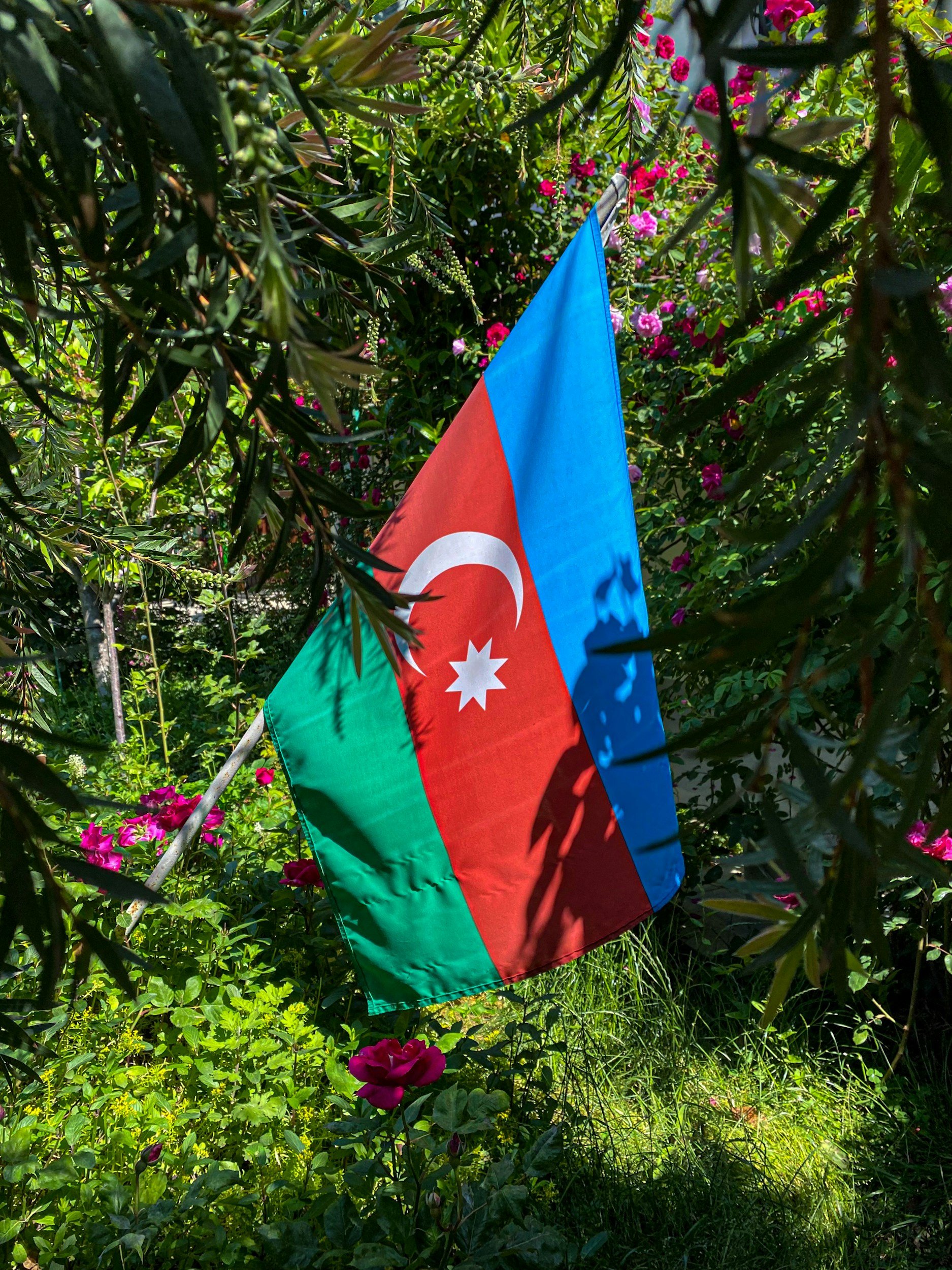 Azerbaijan Society of America Commemorates the 35th Anniversary of the Restoration of Azerbaijan’s Independence
