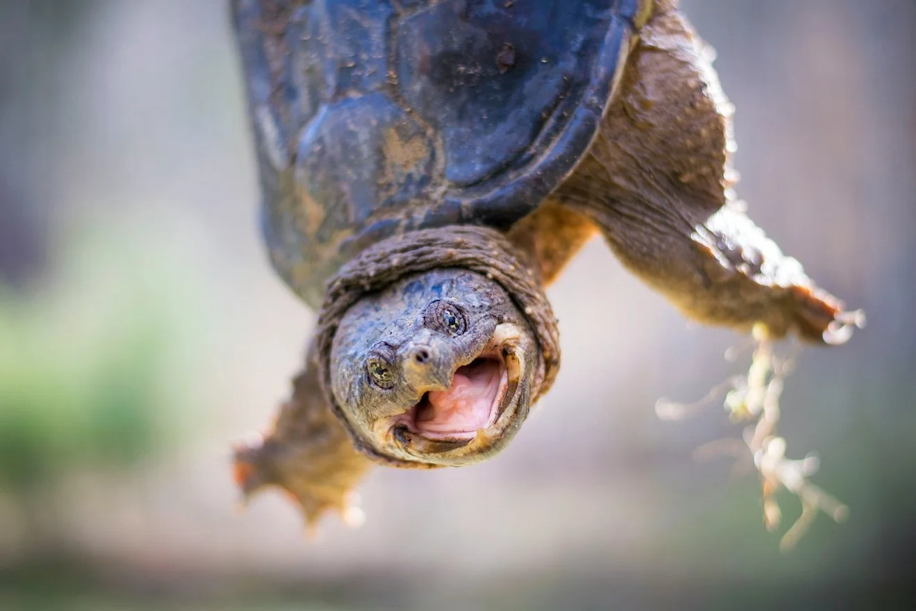 The real reason your website feels slow