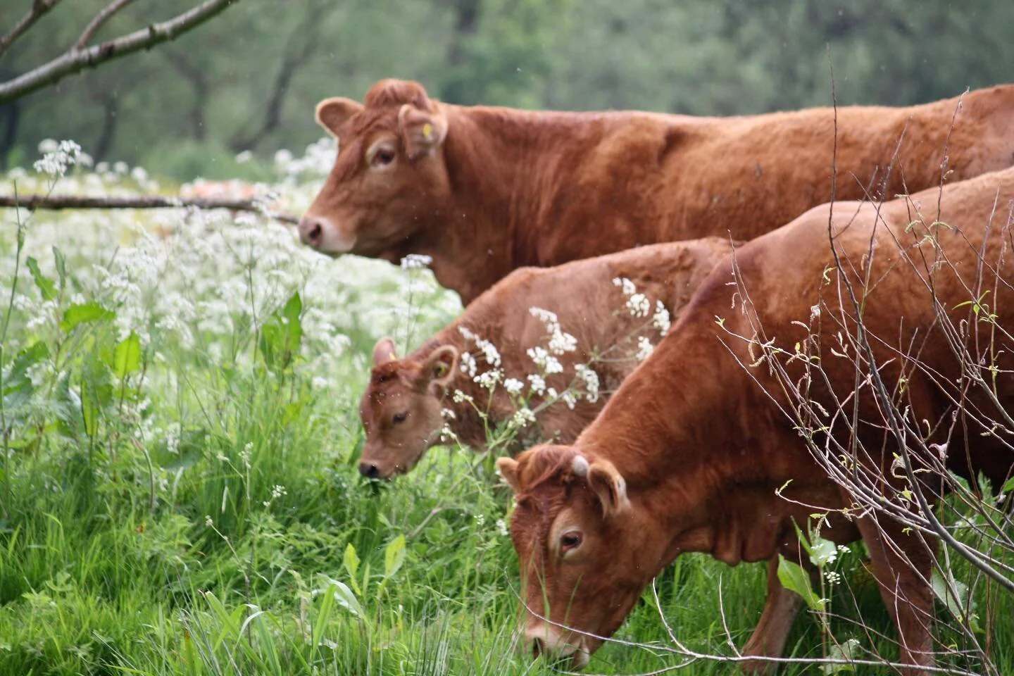Loving life on the River Soar #wildlife #averynarrowjourney #towpath #wildlifephotography #boatlife #narrowboatlife #riverside #riversoar #lifeontheriver