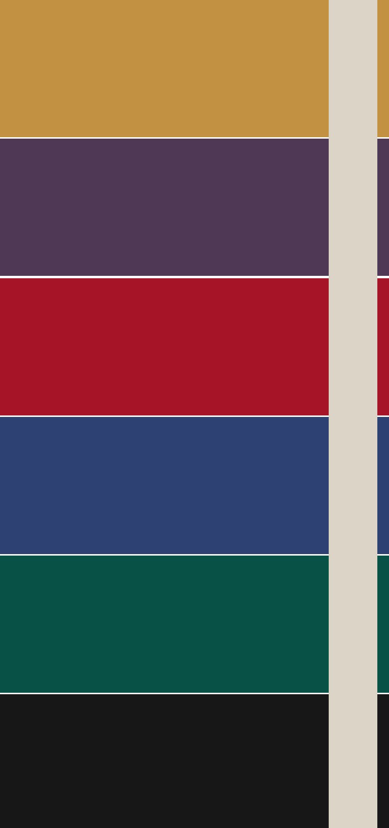 jewel tones for headshots