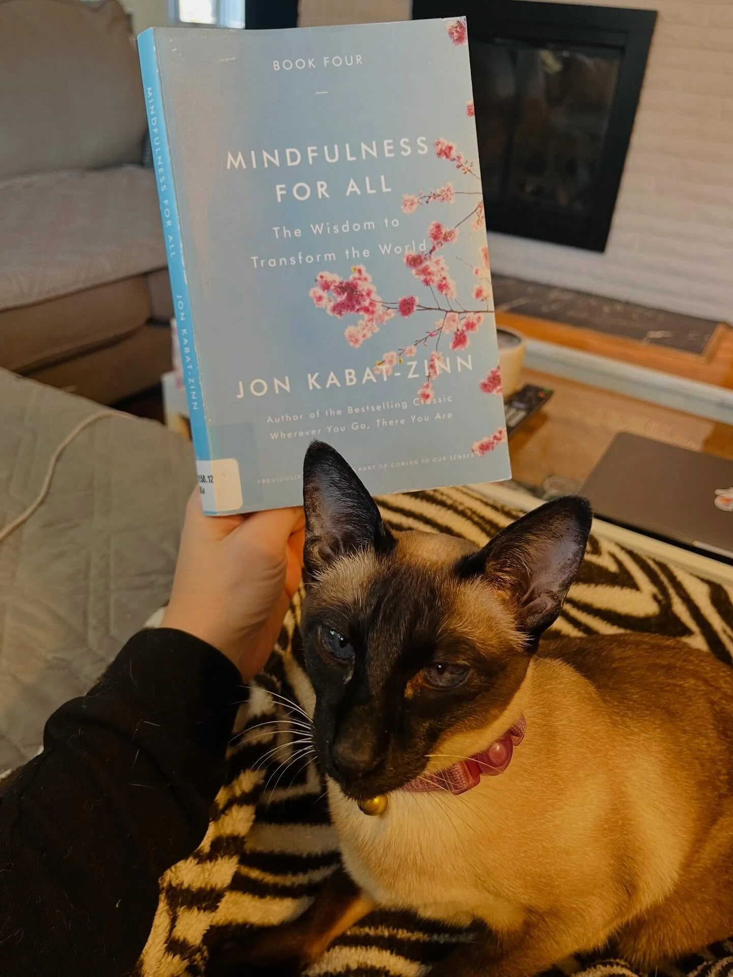✨&rdquo;When our doing comes out of being, out of awareness, it is likely to be a wiser, freer, more imaginative, more creative, and a more caring doing, a doing that can itself catalyze greater wisdom and compassion and healing in the world snd in y