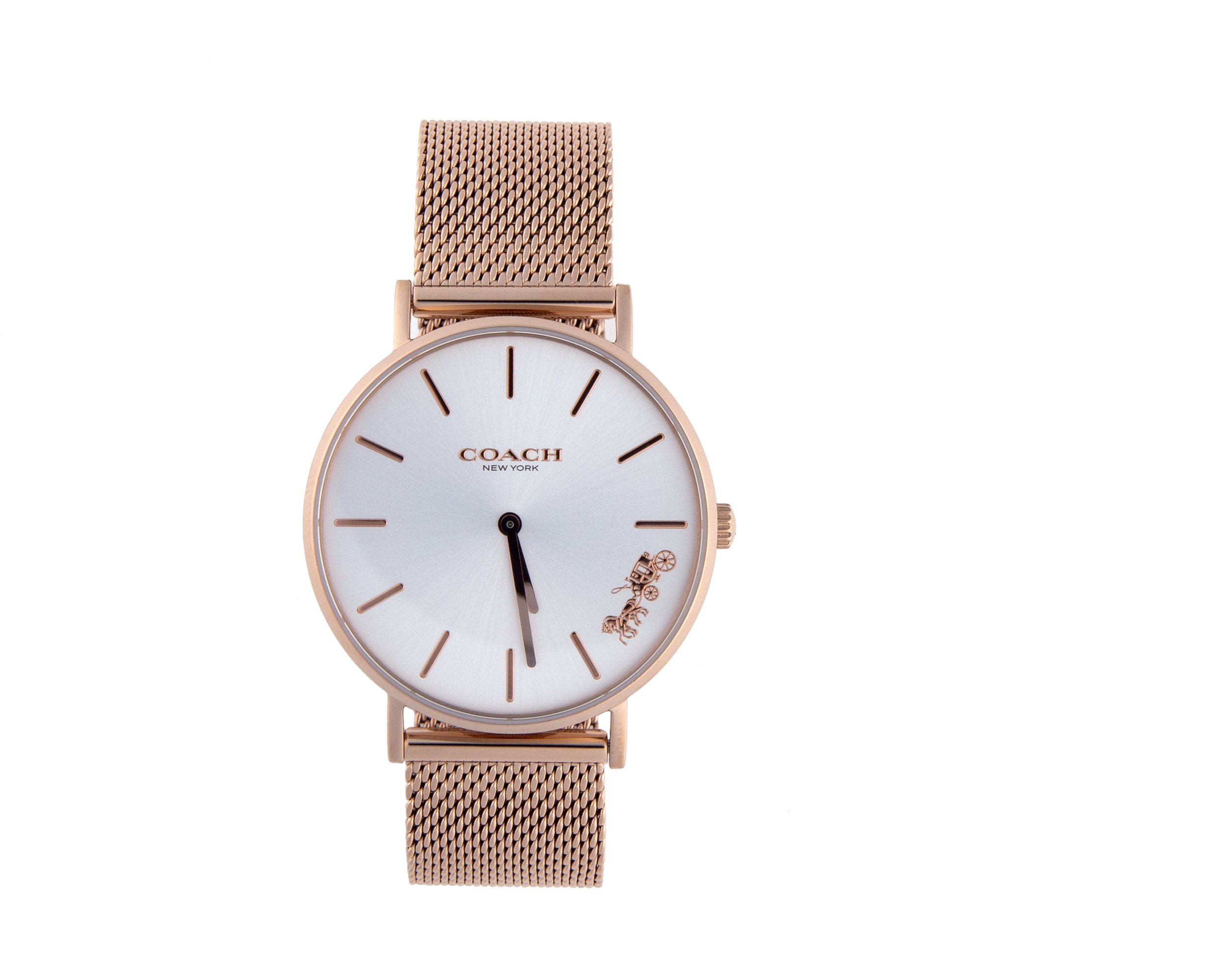 Teresas Coach Watch - 418A9465.jpg
