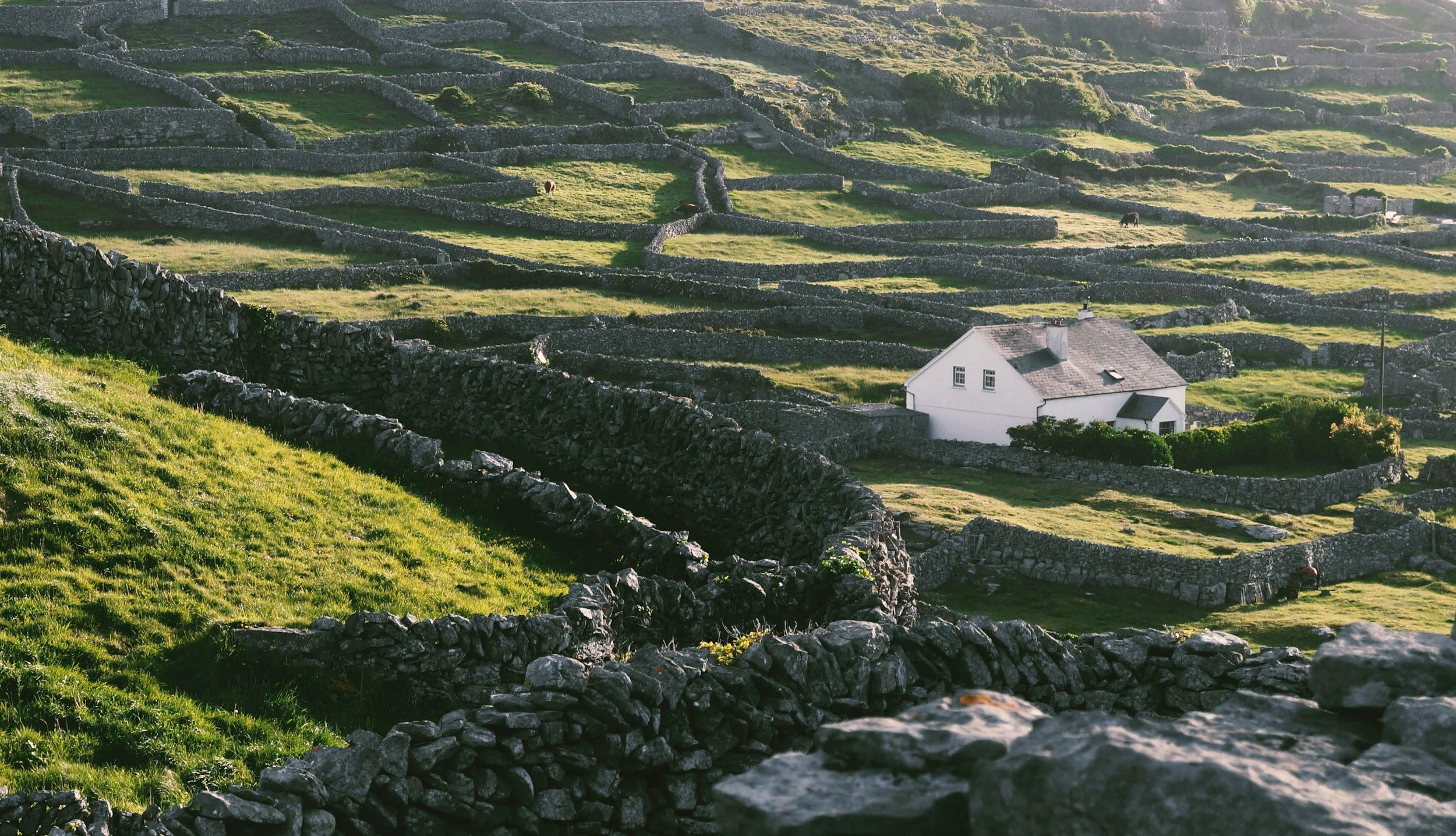 Scenic view of the stone walls and green fields of the Aran Islands off the coast of County Clare