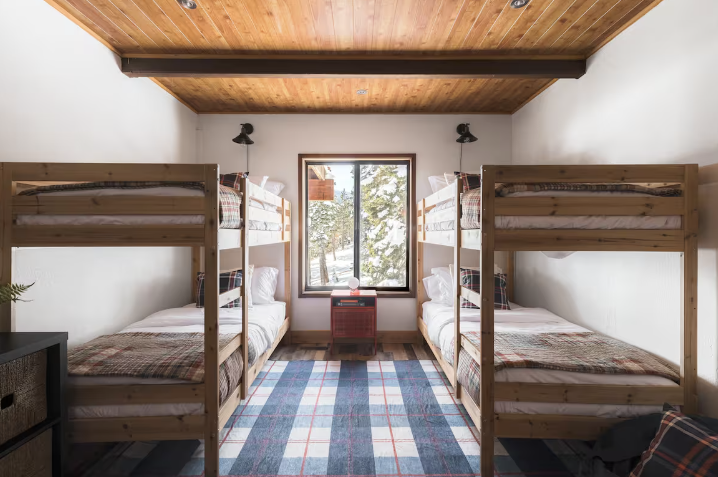 Screen Shot 2025-03-13 at 12.24.27 PM.png