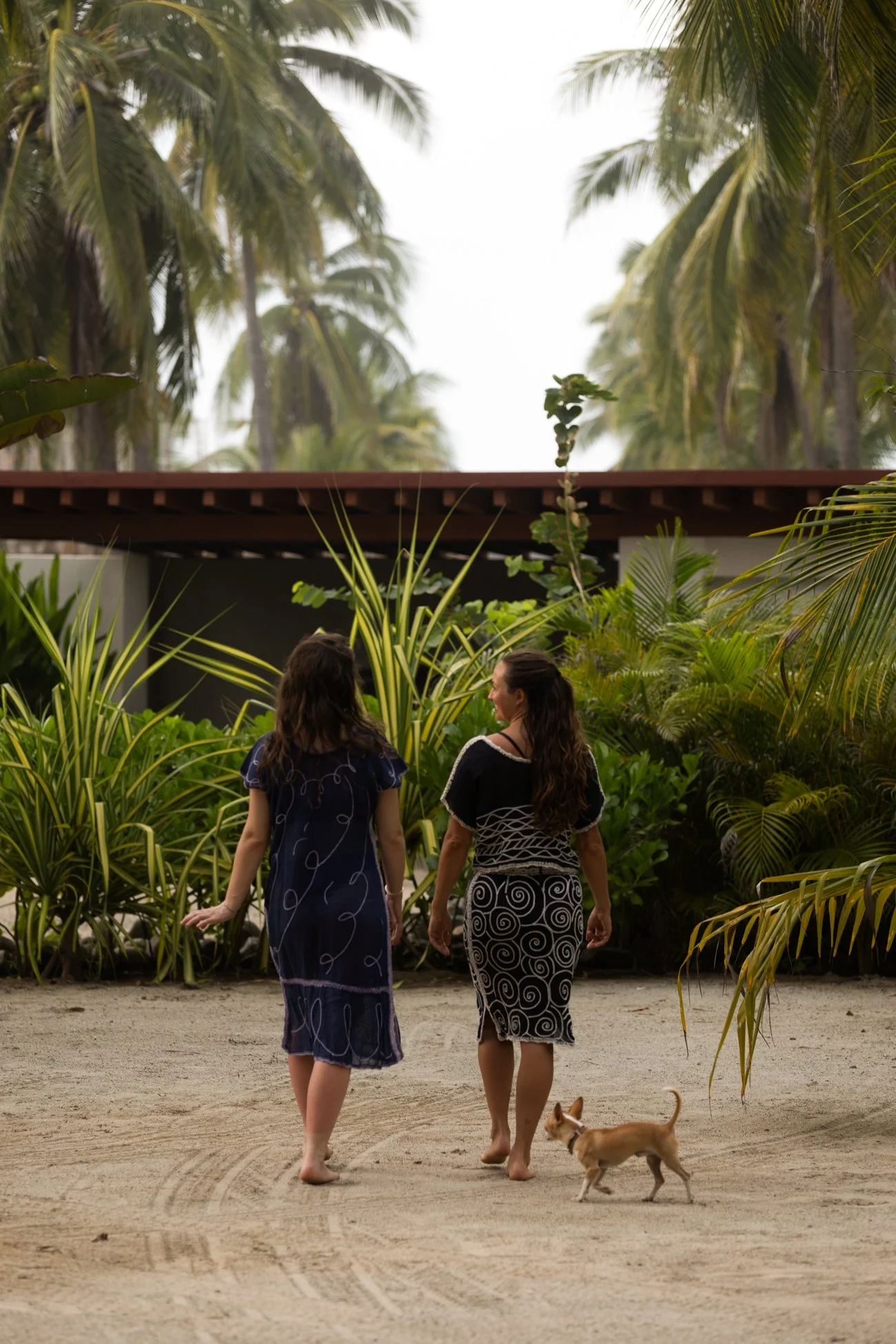 Walking at Casa Verde.jpg