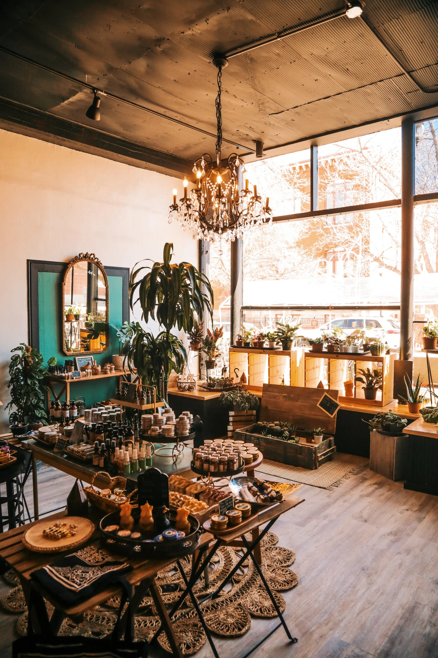 Organic Bulk Herbs Store in Denver Herbal Apothecary Near Me