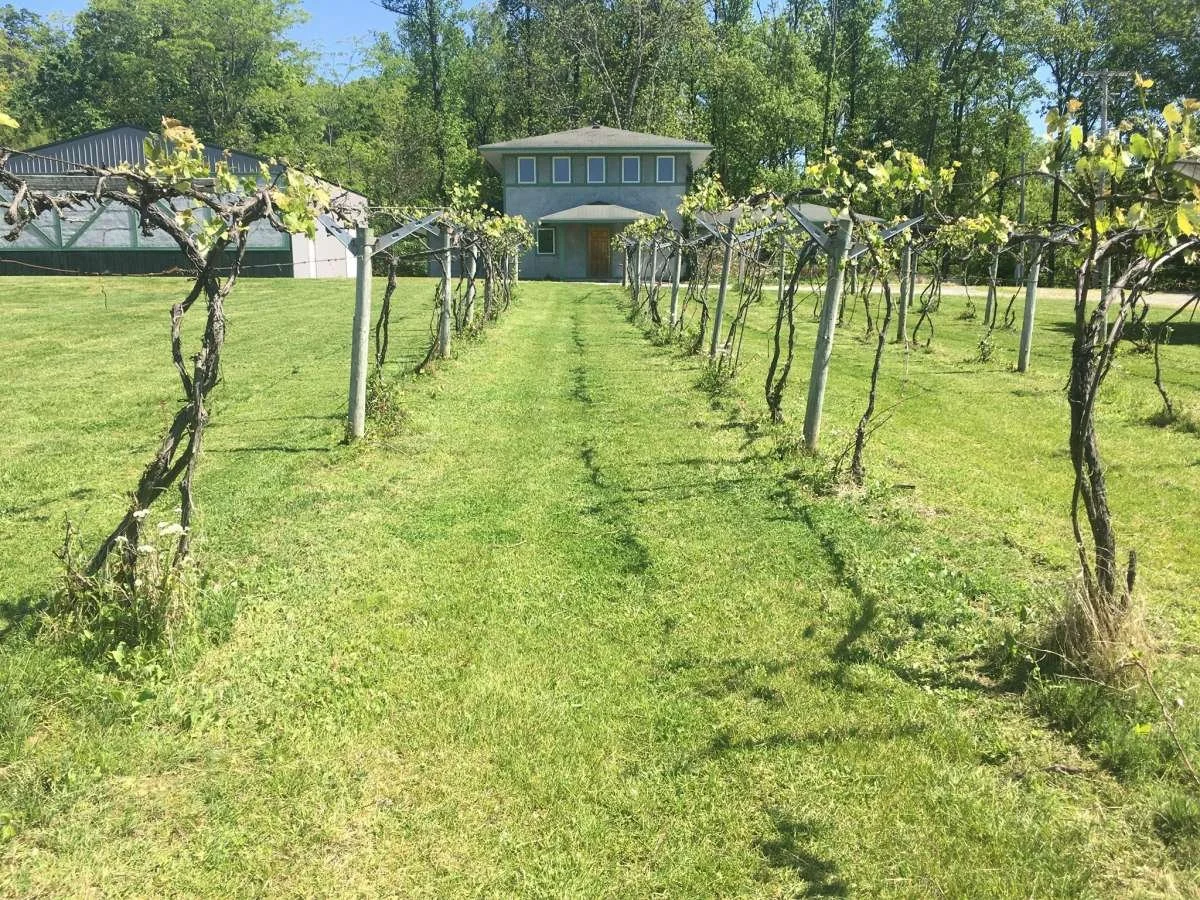 Singer/Songwriter Series: John West