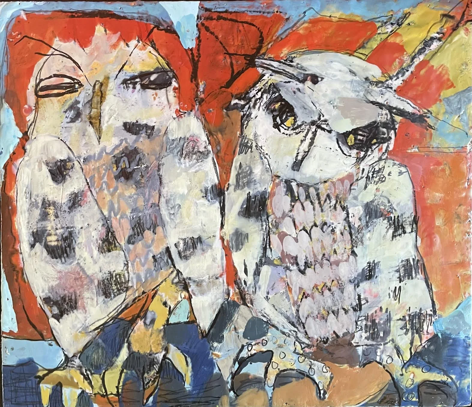 Spotted_Owls.jpg
