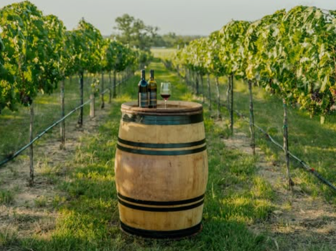 Texas wine on a barrel at Signor Vineyards. Photography by Signor Vineyards Instagram.