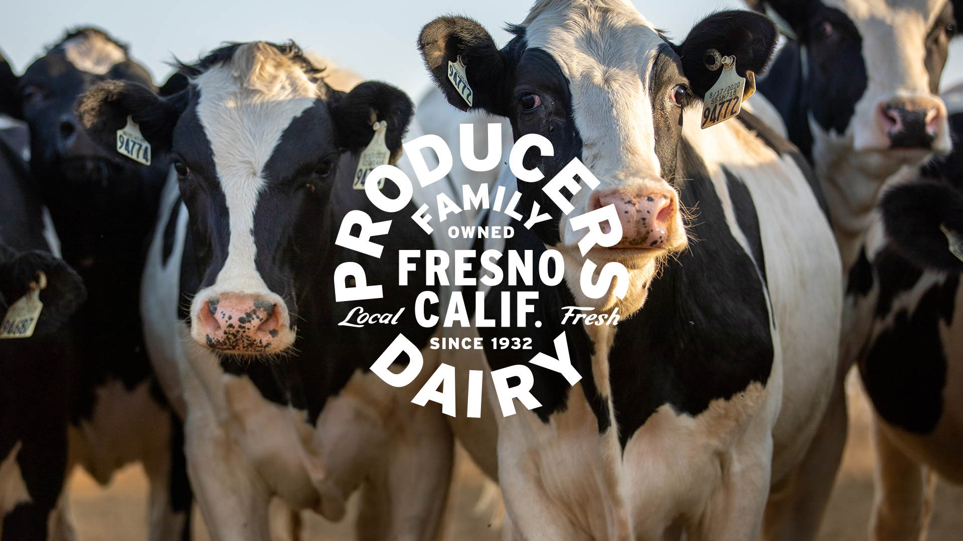 ProducersDairy_010.png