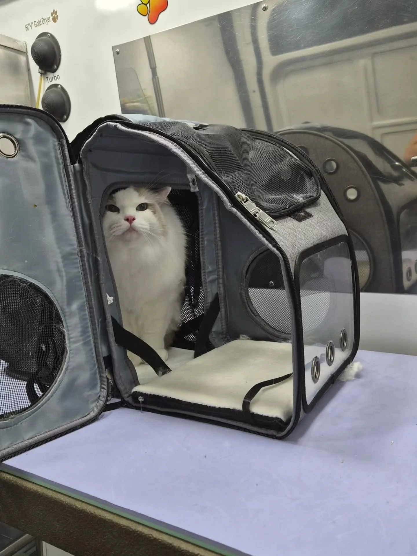 A twofer for #caturday ! One mobile and one in the salon!

#catgrooming #catgroomer #oasispetgrooming #akcsafegroomer
