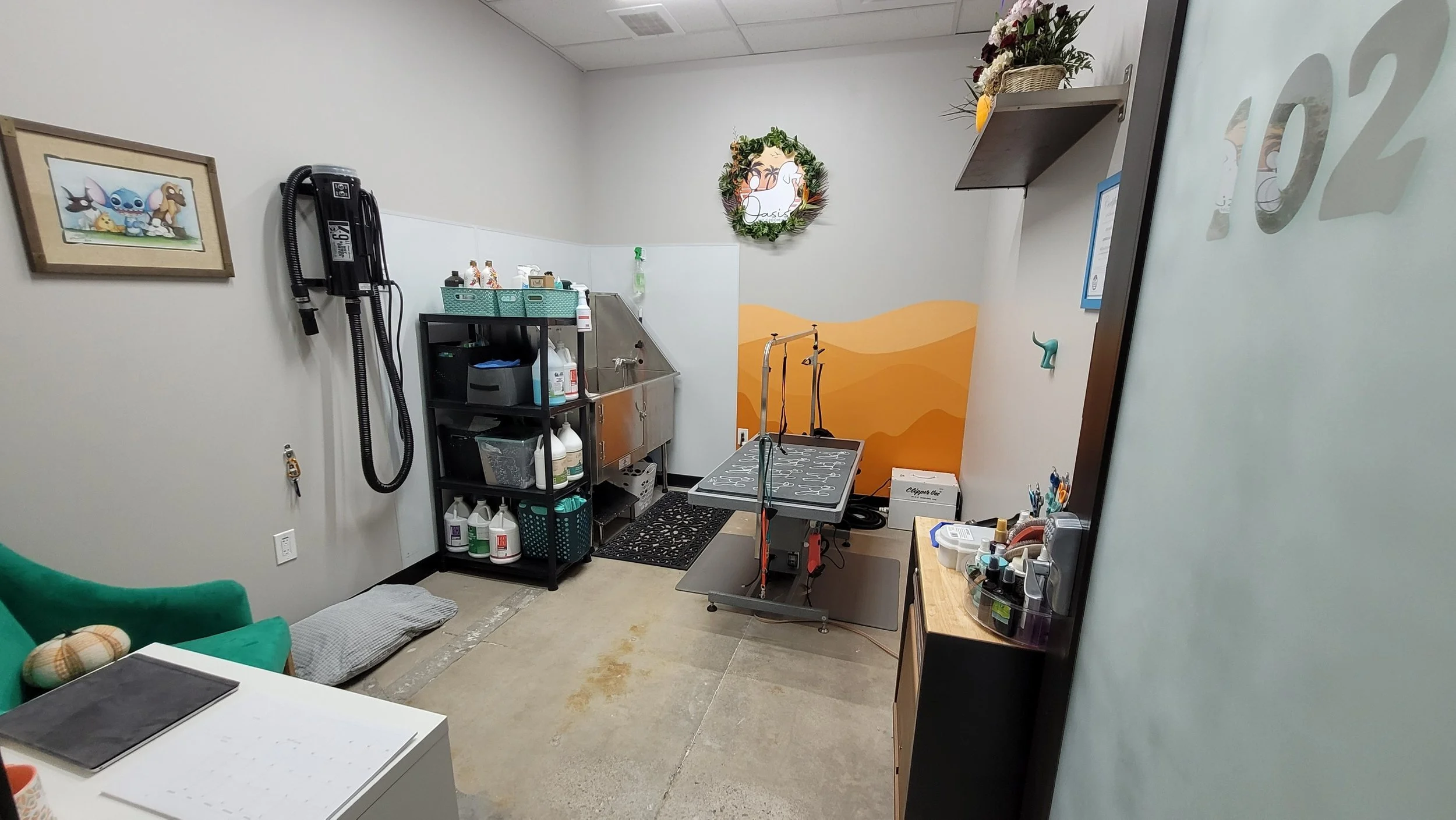 Oasis Pet grooming Dog and Cat Grooming