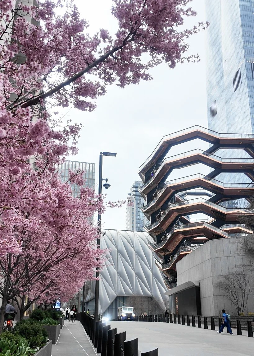 Lifestyle photoshoot near cherry blossom trees at Hudson Yards with the Vessel in New York City